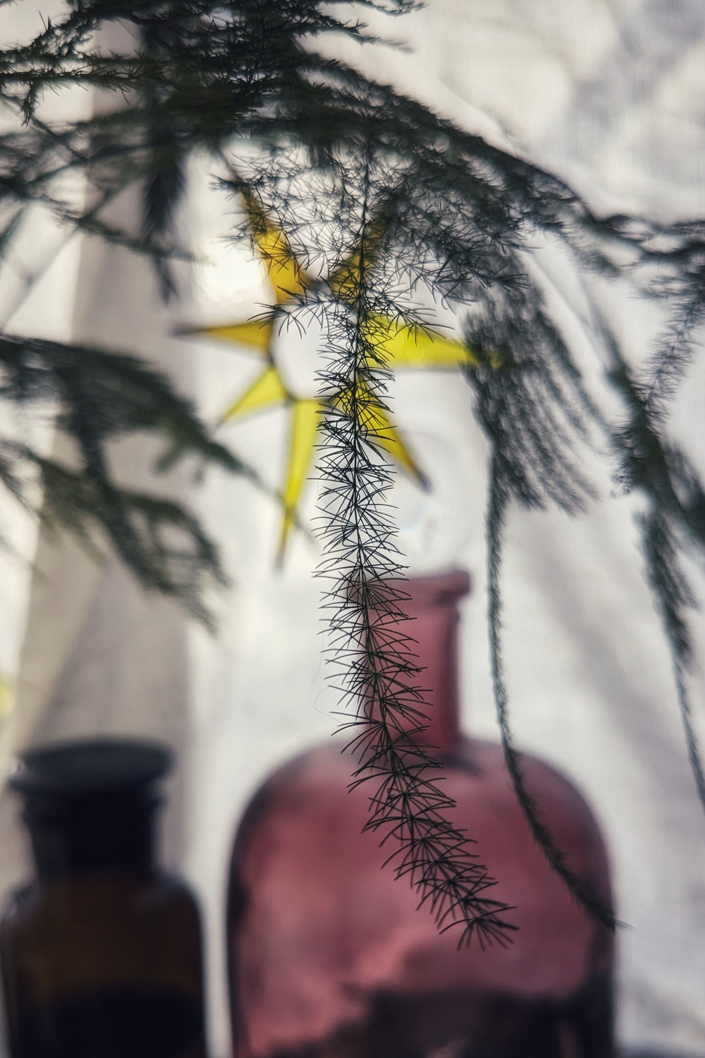 Joyful Wishing Star in Yellows